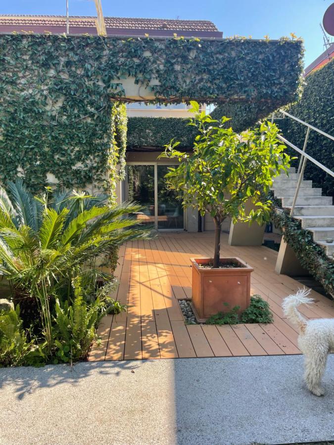 Appartement Joey Pietrasanta